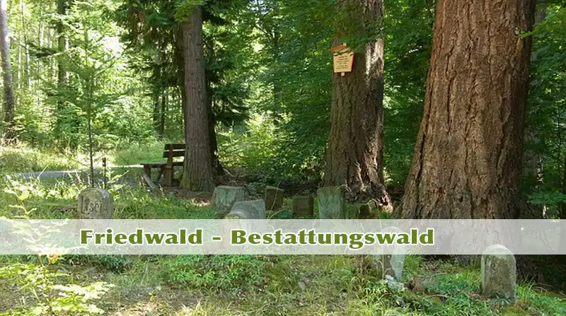 Bestattungswald Friedwald Kamenz